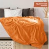 Utopia Bedding Utopia Bedding Fleece Blanket Queen Size Burnt Orange