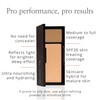 Studio 10 Perfect Canvas SPF30 Treatment Foundation - Serum Foundation