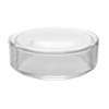 Petri Dish, 2" (50mm) - Beaded Edges - Easy to