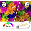 DAYBETTER 6 Pack Vintage LED Edison Bulbs, E26 Dimmable LED