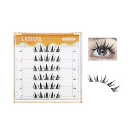 LASHIDOL Partial Eyelashes, No Glue Required, Instant Pita Eyelashes, For Partial, False Eyelashes with Glue, Feeling of Bunching Eyelashes (NO.14)
