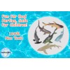 HOWBOUTDIS Six Piece Shark Set – Realistic Looking Ocean Sharks