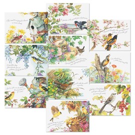 Current Nature's Serenade Religious Thinking of You Friendship Greeting Card Set - Value Pack of 20 Cards With White Envelopes for Friends & Family, 10 Designs, Large 5" x 7" Assortment