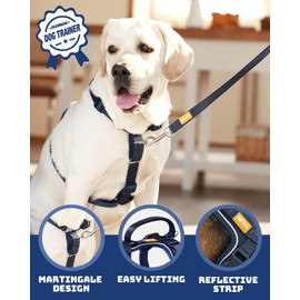 DF Freedom No Pull Martingale Dog Harness, Safety Control to Stop Pulling, Reflective and 5 Point Adjustable, Padded Handle for Easy Support, Navy Blue Pro, 1", Chest 22.4" - 30.4"