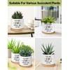 PWHINGN Feeling Cute Might Die Later Pot- Ceramic Engraved Succulent