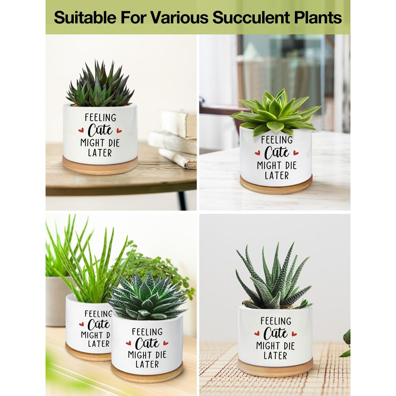 PWHINGN Feeling Cute Might Die Later Pot- Ceramic Engraved Succulent