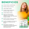 BIO B | Enzimas Digestivas Digezyme® + Prebióticos | 90