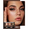 Erinde 10 Colours Lidscahtten Palette