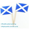 QQSD Scotland Toothpick Flag Scottish Small Mini Cupcake Topper Flags,100