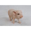 Hi-Line Gift Ltd Stanading Baby Pig, 5"
