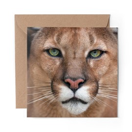 1 x Greeting Card Stunning Puma Wild Animals - Blank Birthday Celebration Anniversary #3586