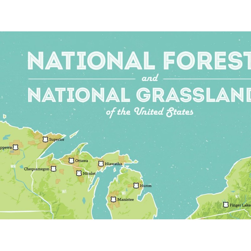 US National Forests & Grasslands Map 18x24 Poster (Green &