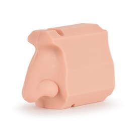 Ultrassist Human Nasal Cavity Anatomy Model - Anatomical Medical Model for Nasal Examination Practise, Human Nasal Model for Medical Teaching, Scientific Research and Display