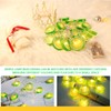 YOLUFER Lemon String Lights 20pcs LED Lights Lemon Slice Battery
