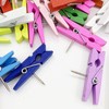 60 Pieces Wooden Pegs with Pins - Decorative Clothes Pegs