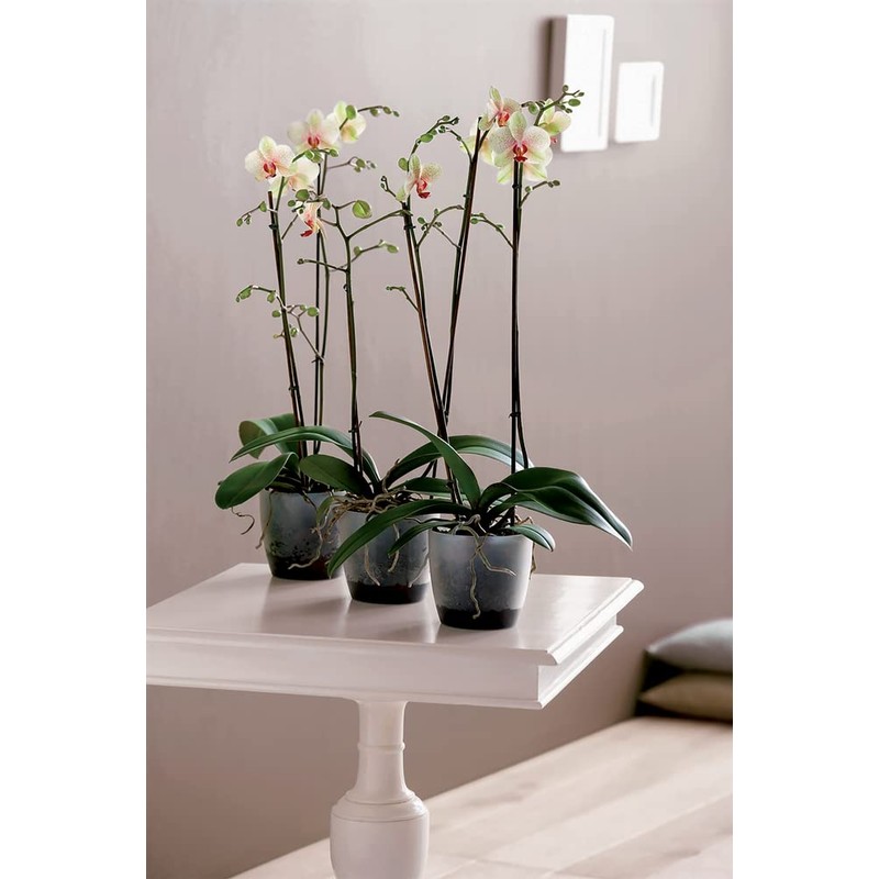 elho Brussels Orchid 16 Flower Pot for Indoor Use Diameter