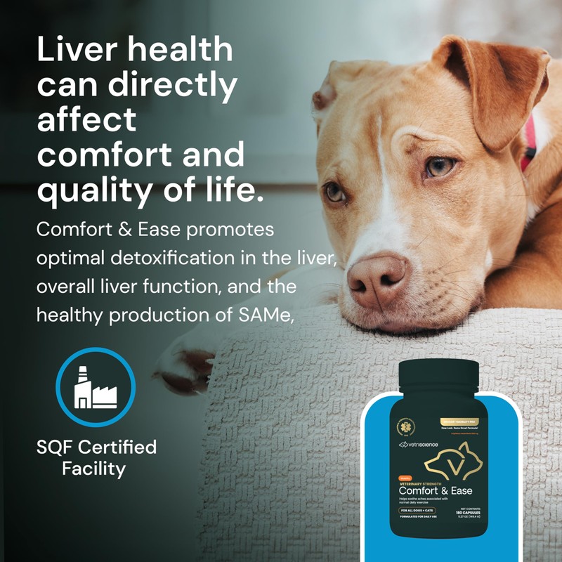 VetriScience Veterinary Strength Comfort & Ease Capsules - Mobility Supplement