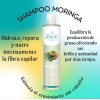 Shampoo Moringa Protector Hidrata Repara Sheló Nabel