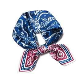 SHIROUYU 100% Mulberry Silk Scarf 25.6"x25.6" Square Women Neckerchief Headscarf - Lightweight Neck Scarf Gift Packed