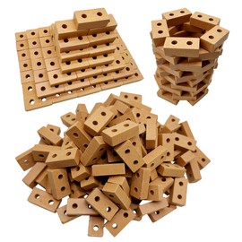Woohome Pack of 100 Mini Simulation Bricks, 1:16 Mini Scale Bricks, Miniature Bricks, Bricks for DIY Dollhouse, Bricks, Diorama, Fairy Garden Decoration (2 Hole Bricks, Red)