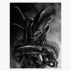 Magnet Xenomorph Magnetic Vinyl Sticker Decal Magnet 5"