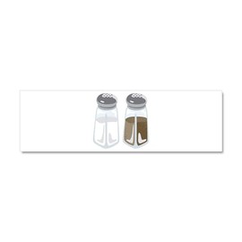 CafePress Salt Pepper Shakers Car Magnet 10 X 3 10" x 3", Bumper Magnet