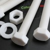 10 x White Hexagon Head Screws Polypropylene (PP) Plastic Nuts,