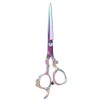 Professional Hair Cutting Thining Scissors Salon Barber Hairdressing Shear #03