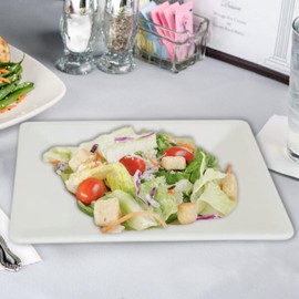 TrueCraftware- 13-3/4” x 13-3/4” Square Plate Passion White Color Melamine- Dinner Plates Reusable Plate Dinner Dishes Plates Perfect for Dinner Dishes Dishwasher Safe Break-Resistant