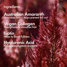 BONDIBOOST BONDIBOOST Thickening Conditioner [16.90 fl oz], Volumizing Conditioner