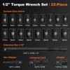1/2-Inch Drive Torque Wrench Set 22PCS, 10-180FT.LB/13.6-244.1Nm, Click Torque Wrench