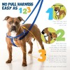 2 Hounds Design Freedom No-Pull Dog Harness with Leash, Burgundy,