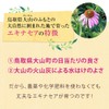 山田養蜂場 エキナセア粒＜90粒袋入＞