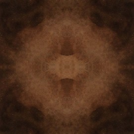 Contractors Choice Concrete Acid Stain 1 Gallon Coffee Bean (Dark Brown to Black)