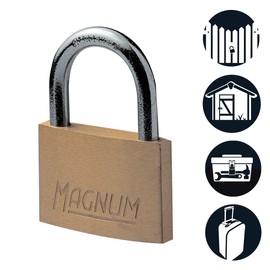 Master Lock CAD50 Magnum Padlock with Brass Body and Key, 7,8 x 6 x 1,2 cm