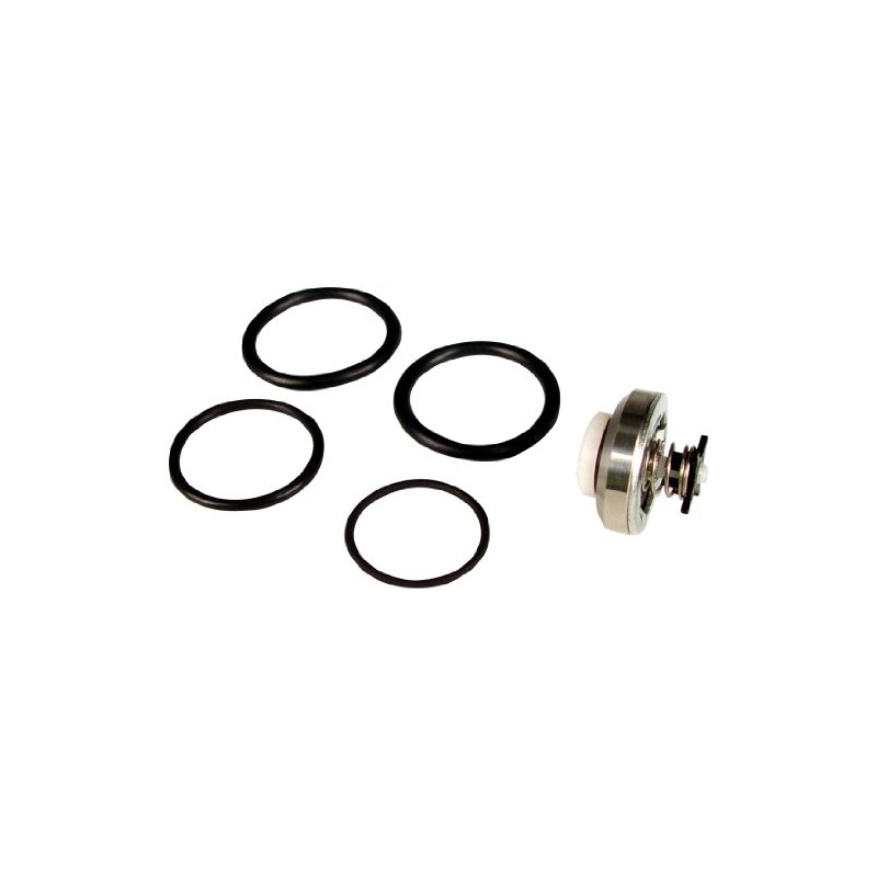 Wagner Spraytech 0515221 Inlet Valve Seal