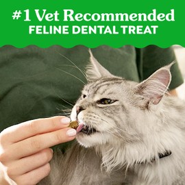 Greenies Feline Veterinarian-Recommended Adult Natural Dental Cat Treats, Savory Salmon Flavor, 21 oz. Tub