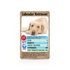 Lovable Dogs Top Trumps Card Game