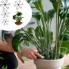 FXHDC-M Reusable Plant Stem Supports for Indoor Plants - 4