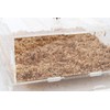 WOLEDOE Acrylic Superworms Keeper, Mealworms Container fit Dubia Roach -