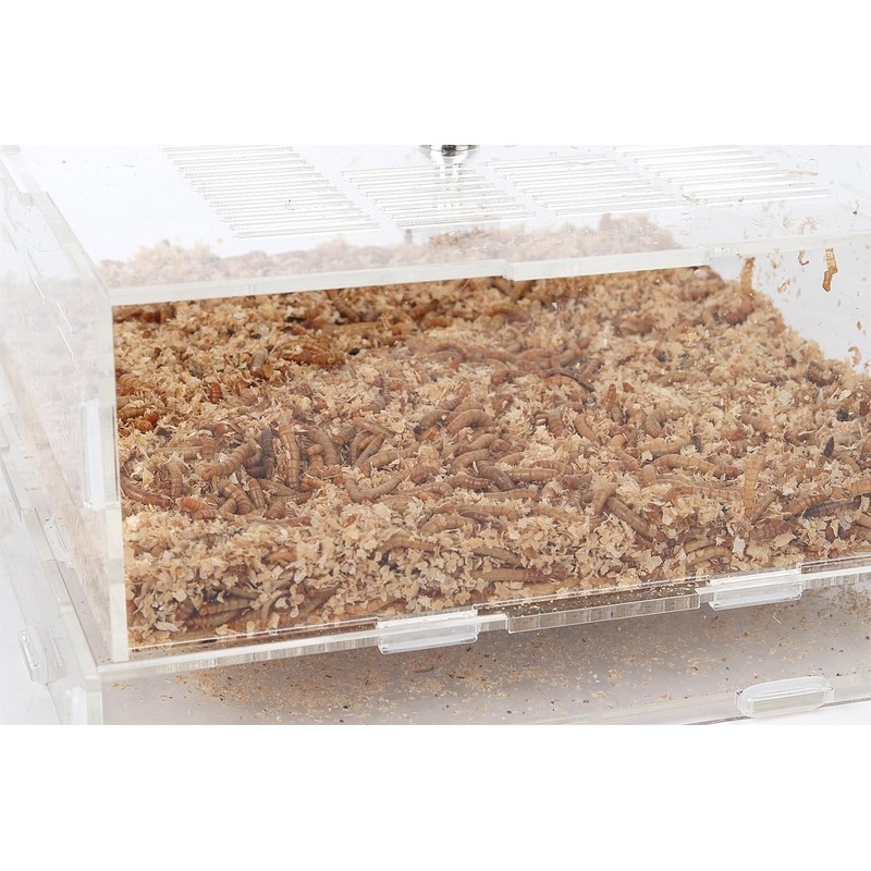 WOLEDOE Acrylic Superworms Keeper, Mealworms Container fit Dubia Roach -