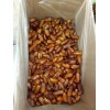 Soleil 19.84LB BULK ORGANIC PITTED DEGLET NOUR DATES /CERTIFIED NON-GMO/VEGAN/