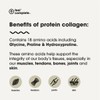 Feel Complete - High Protein Collagen - Premium Type 1
