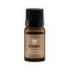 Treatments by Kitoko Oil Treatment 10ml & 90ml TBC 10ml