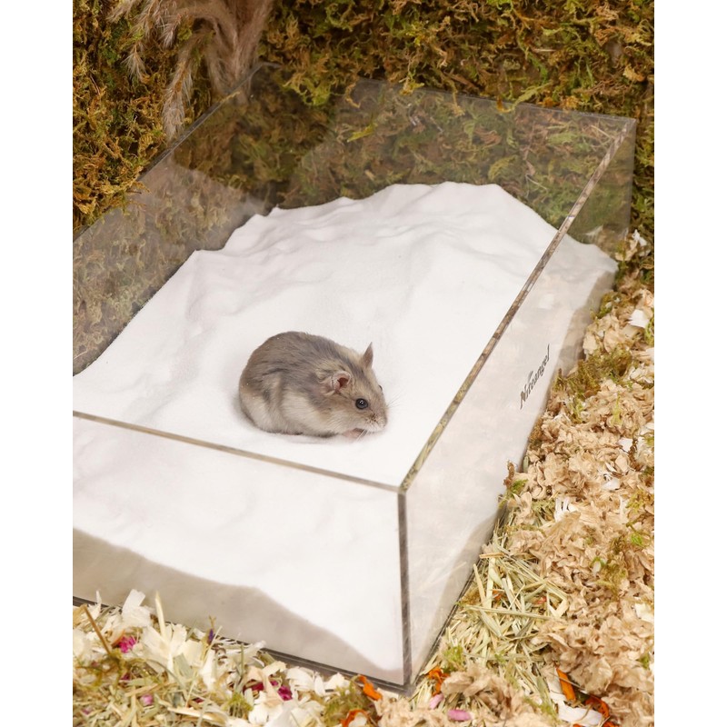Niteangel Hamster Desert Bath Sand | No-Dust Bath or Potty