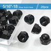 5/16"-18 Acorn Nuts,20PCS Black 304 Stainless Steel(18-8) Acorn Cap Nuts