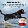 Regal Dog Products Large Red Waterproof Dog Collar and Leash
