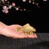Brass Money Fish Fengshui Gold Wealth Arowana Home Decor Collectible