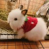 ANIAC Bunny Clothes for Rabbits Warm Kitten Vest Fleece XXXS