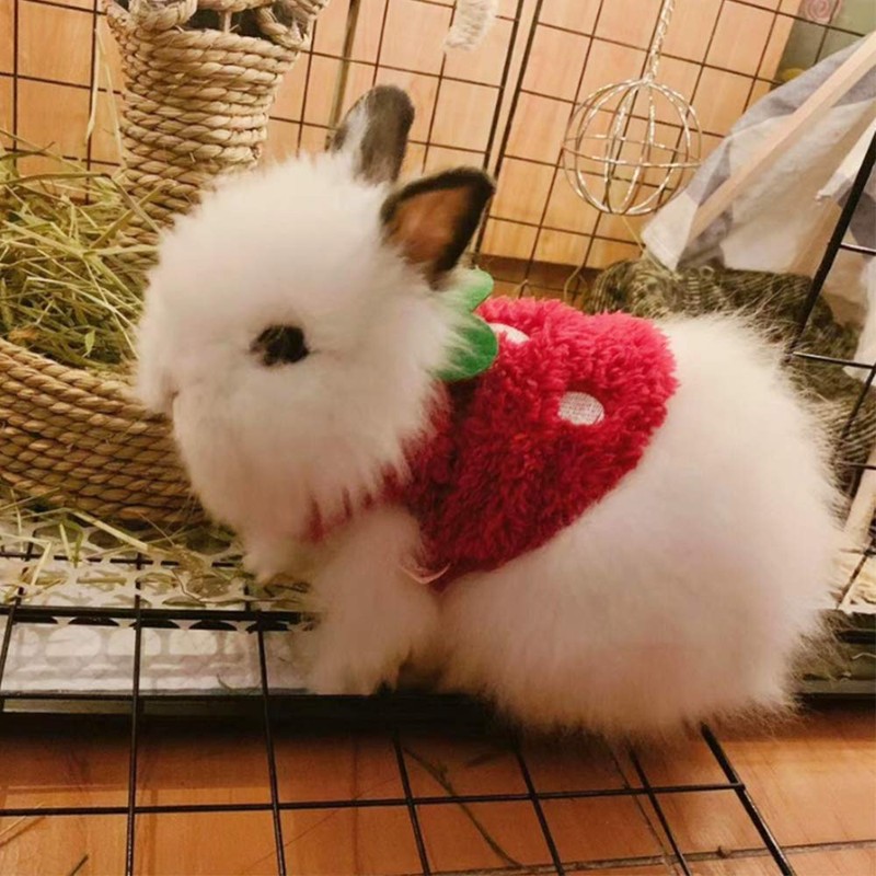 ANIAC Bunny Clothes for Rabbits Warm Kitten Vest Fleece XXXS